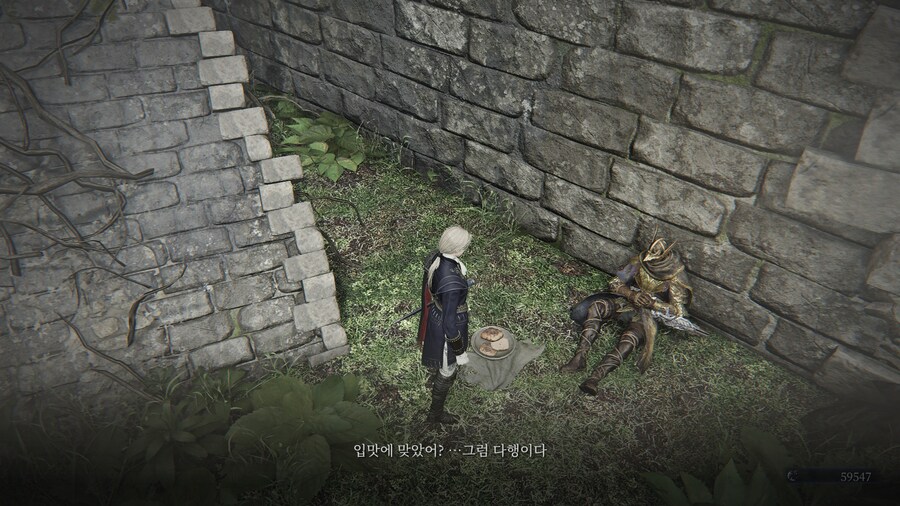 (엘든링) 엘밤통 캐릭터 스토리 - 레이디 편_47.jpg
