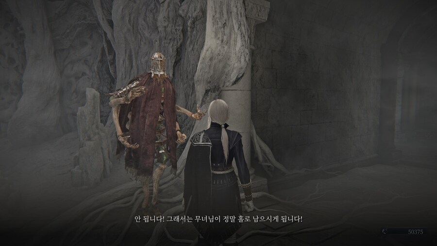 (엘든링) 엘밤통 캐릭터 스토리 - 레이디 편_92.jpg