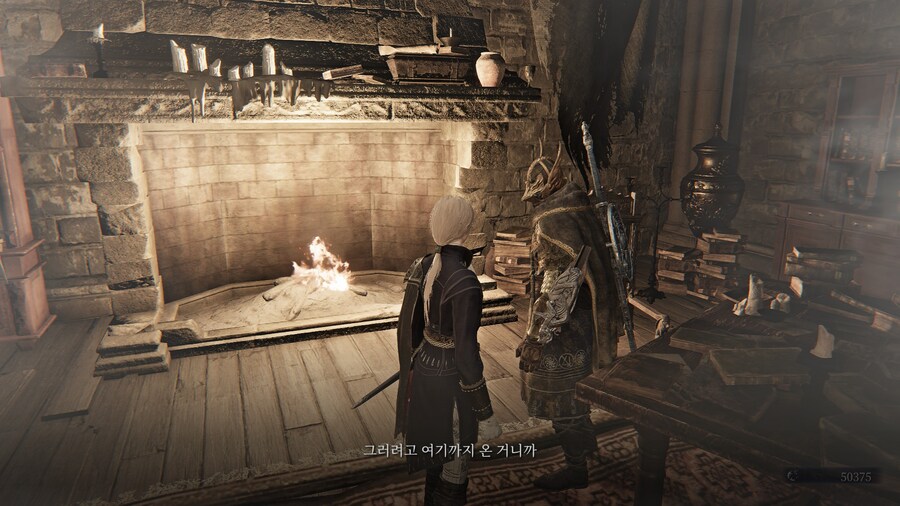 (엘든링) 엘밤통 캐릭터 스토리 - 레이디 편_96.jpg