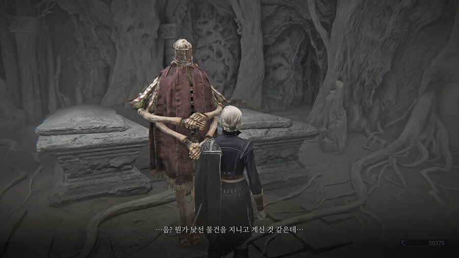 (엘든링) 엘밤통 캐릭터 스토리 - 레이디 편_98.jpg