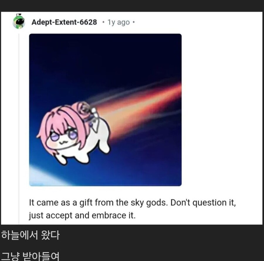 "도로롱 밈은 어디서 왔음?"_2.jpg