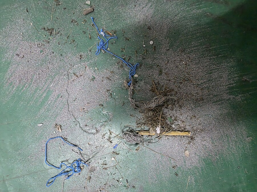 혐)벌레 새끼들 때문에 짜증나네_2.jpg