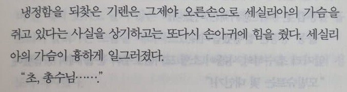 [건담] 토옹 소설 속 세실리아 묘사 야설수준이네_5.jpg