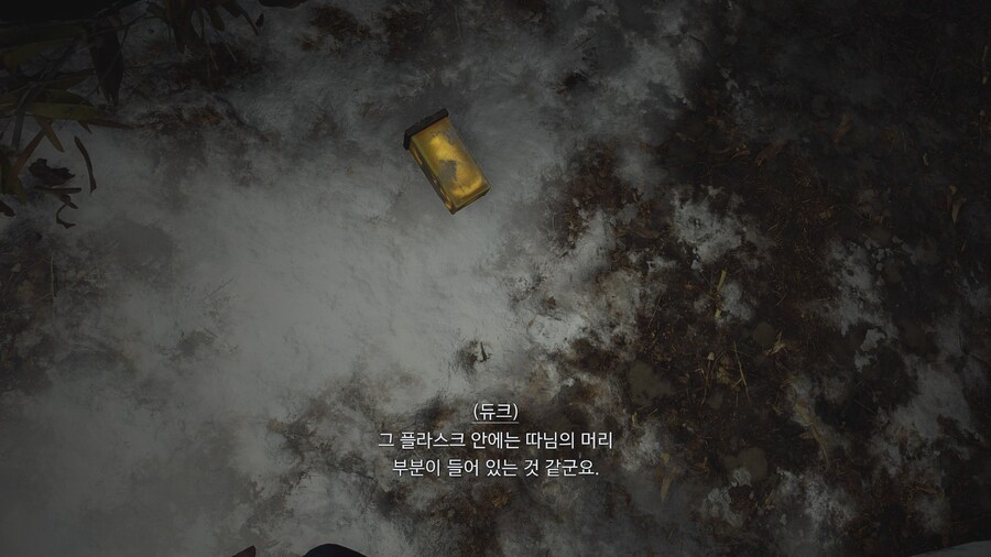 바이오하자드 빌리지_11.jpg