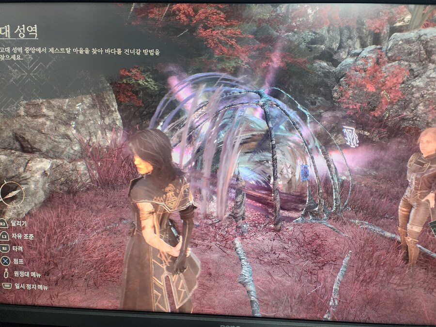 이것은 무엇일까요~?_1.jpg