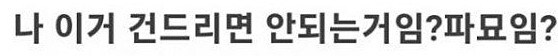 나 이거 건드리면 안되는거임?_1.jpg
