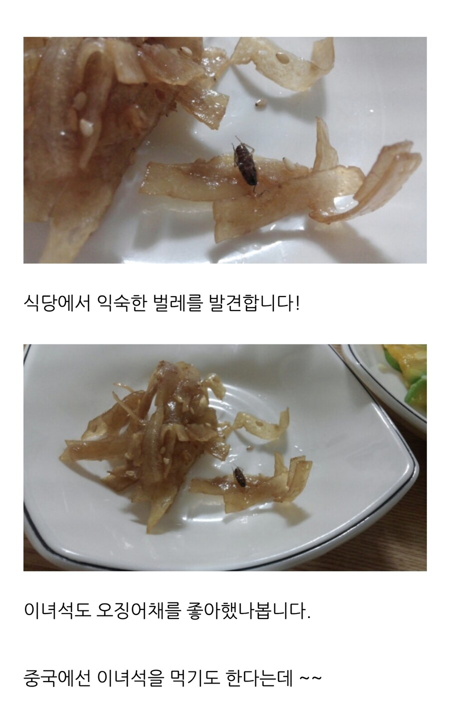 함부로 인터넷 글을 믿어선 안 되는 이유_3.jpg