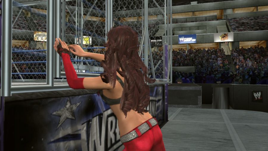 [레슬링게임]WWE 스맥다운vs로우 2010_17.jpg
