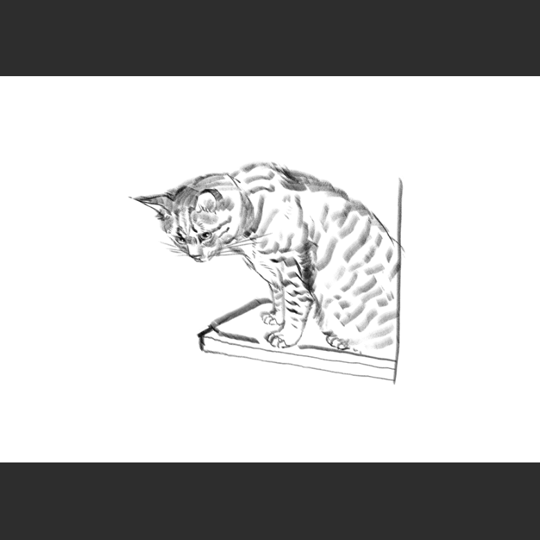 우리집 고양이그림 보고가셈_4.png