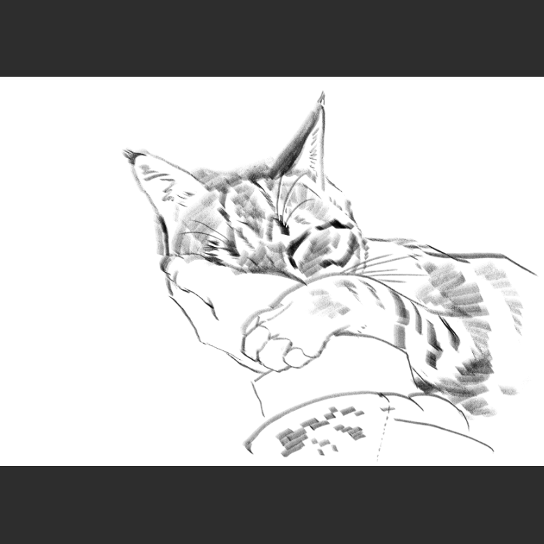 우리집 고양이그림 보고가셈_7.png