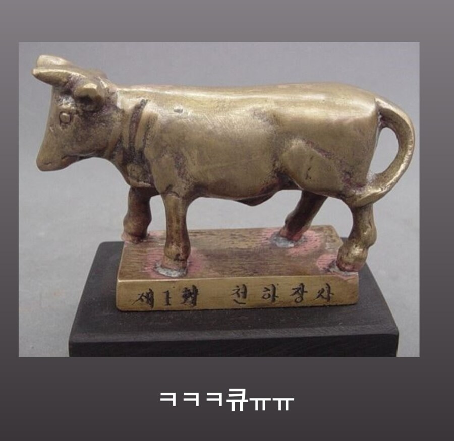 천하장사 고양이.jpg_2.jpg