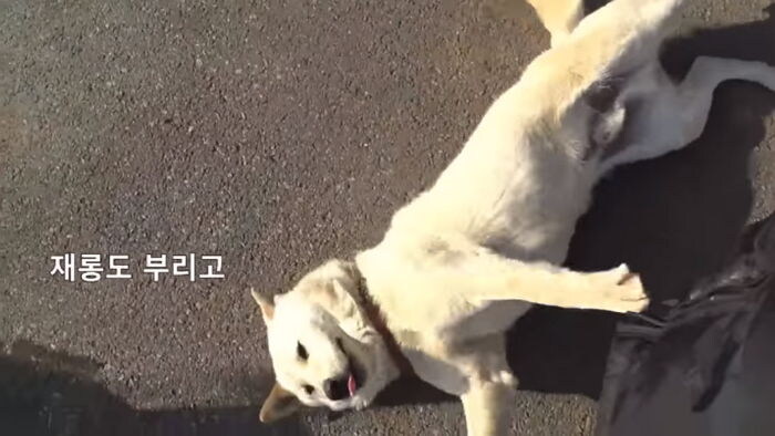 작성자 특징_1.jpg