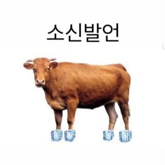 나도 이세돌 소신발언_2.png