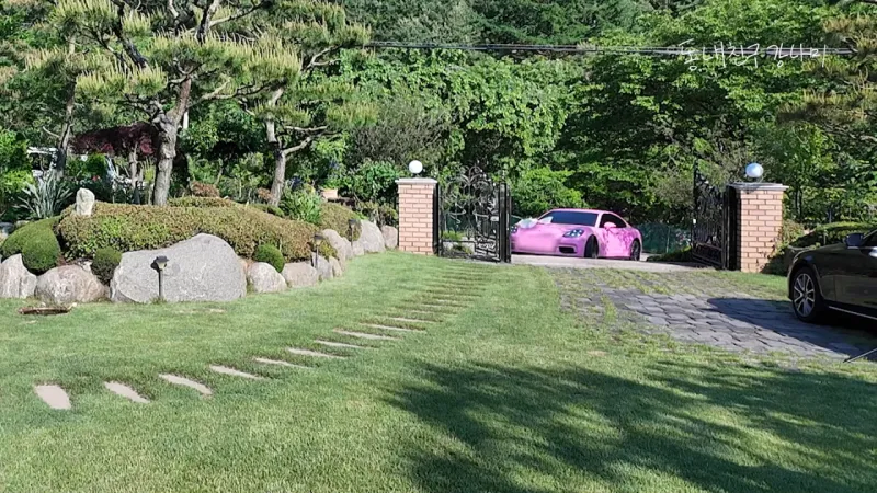 목숨걸고 유튜브 하는 강남.jpg_24.webp