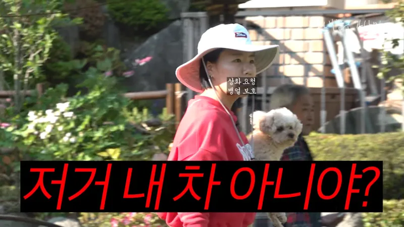 목숨걸고 유튜브 하는 강남.jpg_26.webp