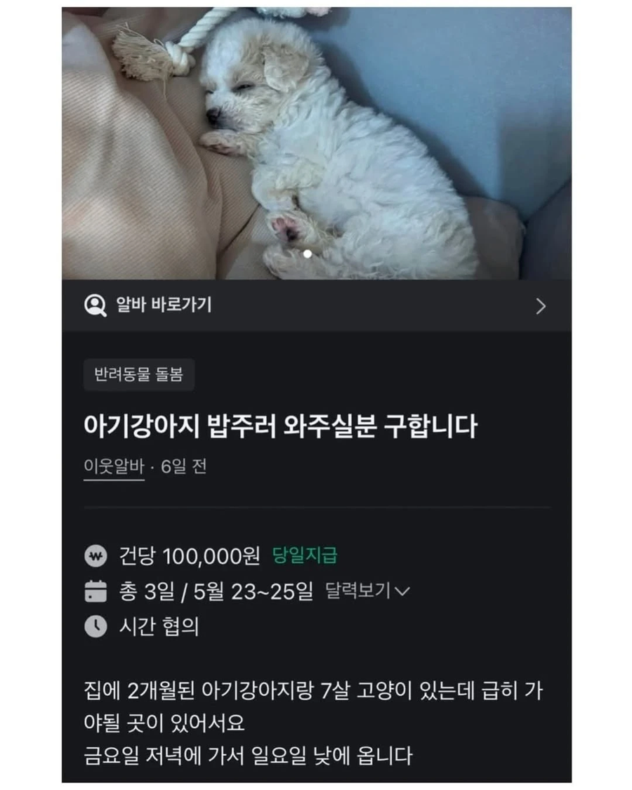 아기강아지 밥주는 알바 지원 ㄷㄷㄷ_1.webp
