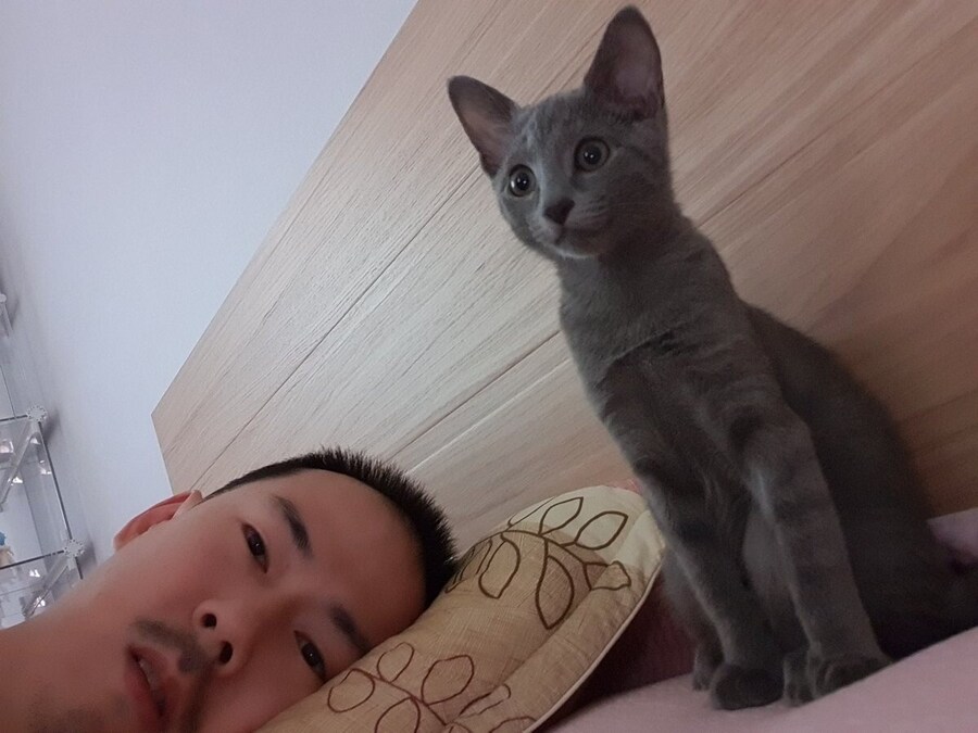 인방) 나도 커비 같은 아이 키우고 싶다_1.png