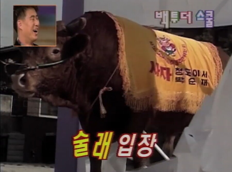 세기말 예능 퀄리티_1.jpg