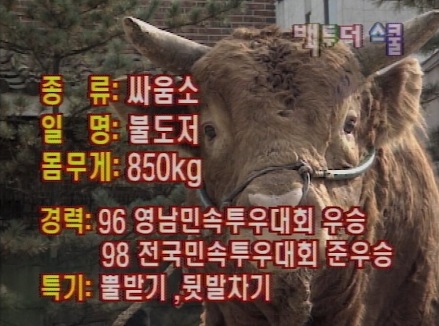 세기말 예능 퀄리티_2.jpg