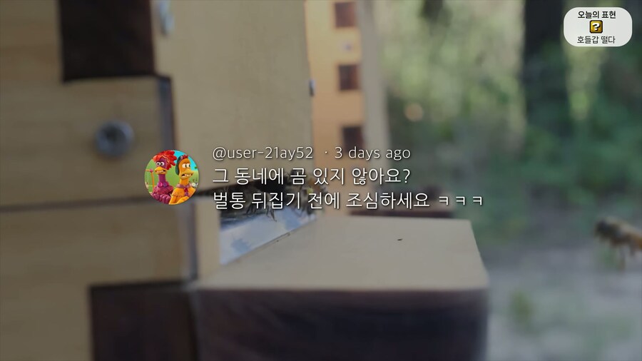 양봉 시작한 올리버쌤... 벌통 놔두고 하루 여행 다녀온 결과_3.jpg