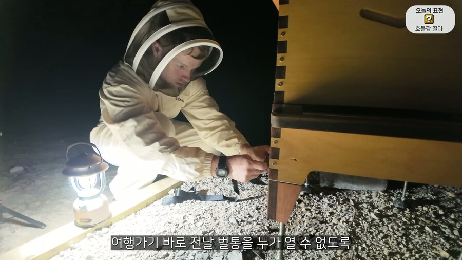 양봉 시작한 올리버쌤... 벌통 놔두고 하루 여행 다녀온 결과_7.jpg