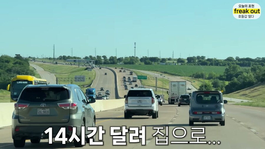 양봉 시작한 올리버쌤... 벌통 놔두고 하루 여행 다녀온 결과_12.jpg