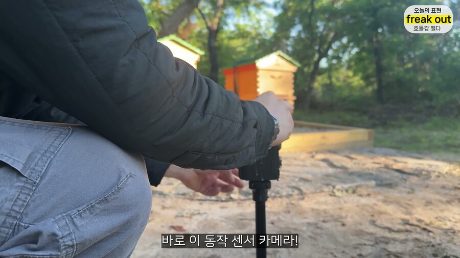 양봉 시작한 올리버쌤... 벌통 놔두고 하루 여행 다녀온 결과_14.jpg