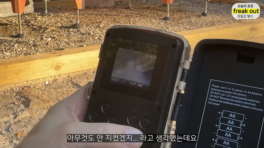 양봉 시작한 올리버쌤... 벌통 놔두고 하루 여행 다녀온 결과_16.jpg