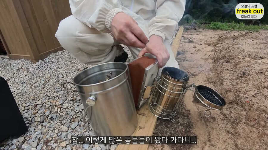 양봉 시작한 올리버쌤... 벌통 놔두고 하루 여행 다녀온 결과_30.jpg