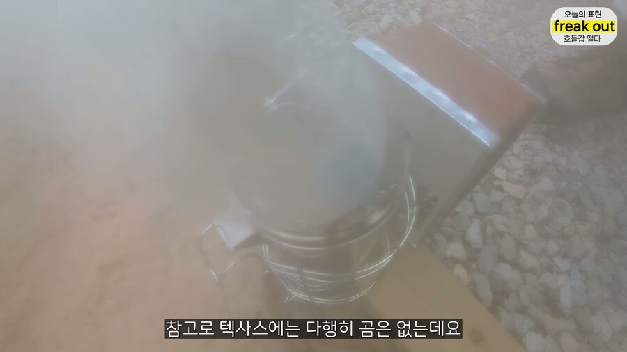 양봉 시작한 올리버쌤... 벌통 놔두고 하루 여행 다녀온 결과_31.jpg