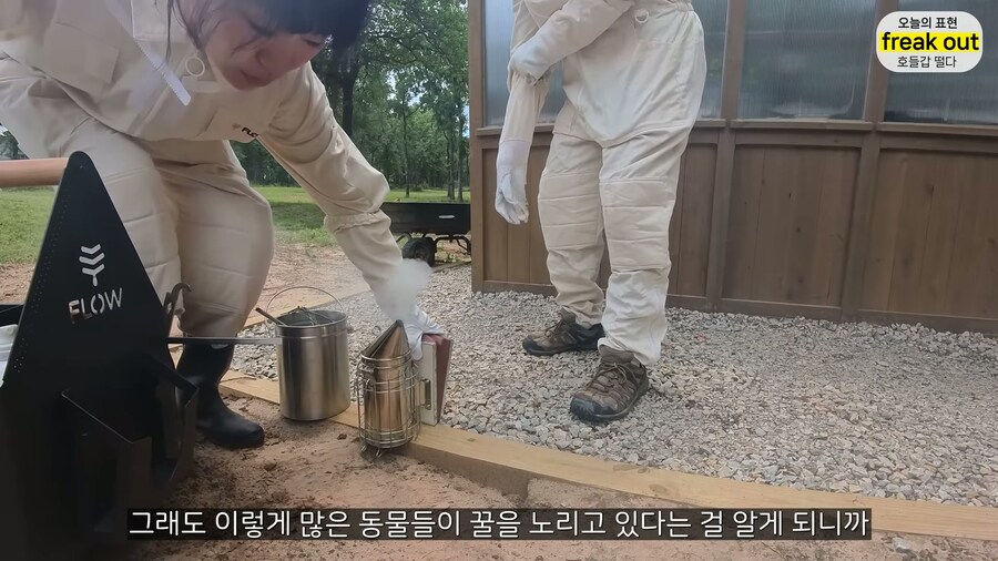 양봉 시작한 올리버쌤... 벌통 놔두고 하루 여행 다녀온 결과_32.jpg