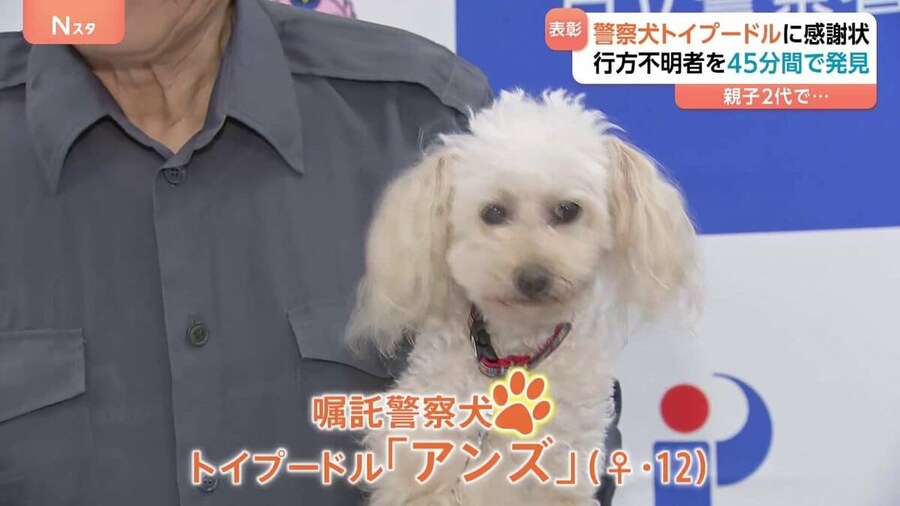 실종노인 45분만에 찾아낸 12살 일본 경찰견_4.jpg