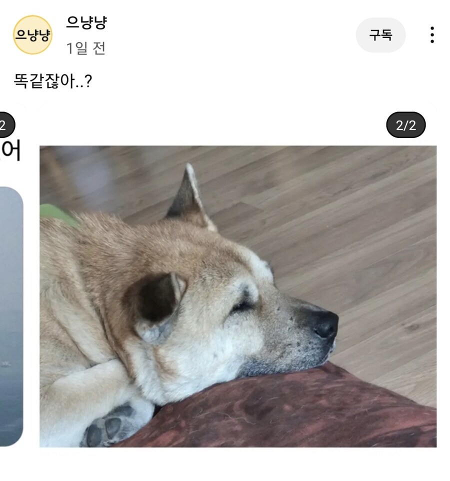 이거유게이가쓴글인데 수출된건가_2.jpg