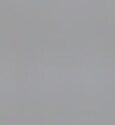 ??? : 그럼 문재인 대통령은?? 이낙연 총리는??_1.jpg