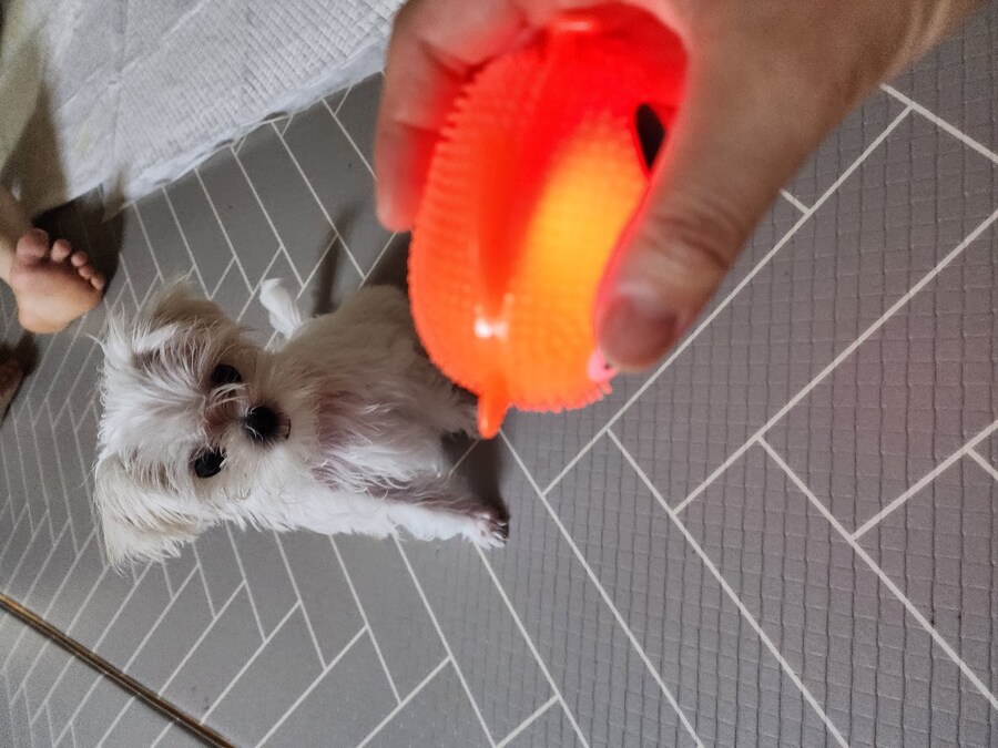 오늘은 많이 질러따_1.jpg