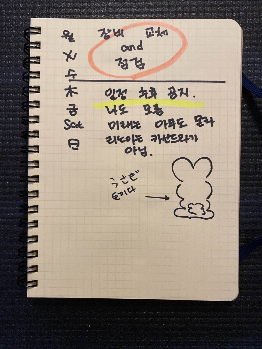 버튜버) 리노아의 놀라운 선견지명