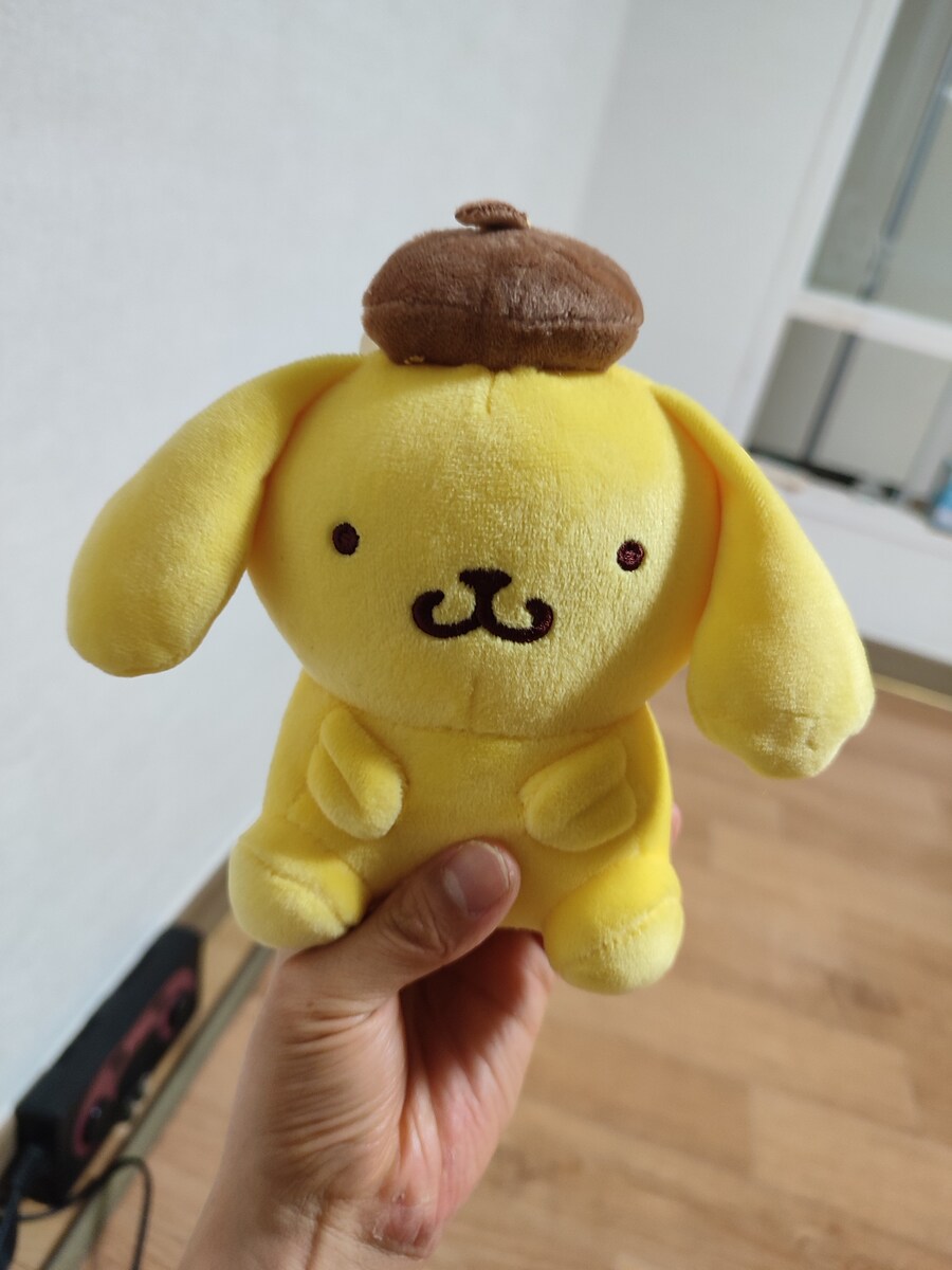 오늘은 다이소에서 폼폼푸린 인형 사왔음_1.jpg