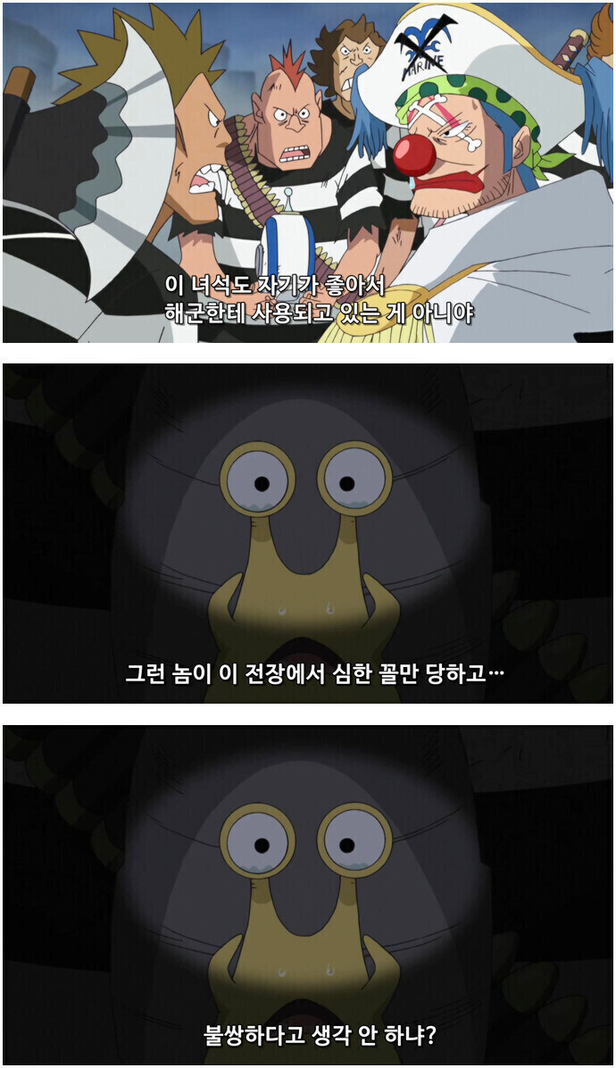 전보벌래도 감동시킨 버기의 말_2.jpg
