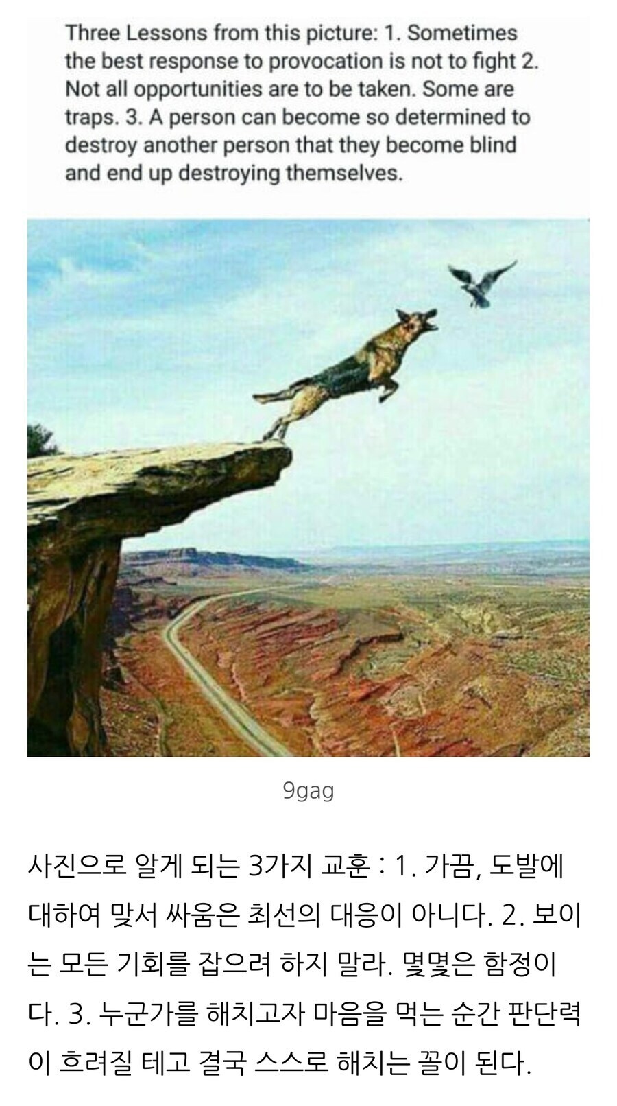 사진으로 알 수 있는 3가지 교훈_1.jpg