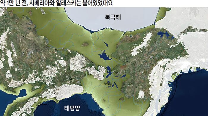 북미서식지였던 티라노사우루스 과들이 아시아에도 발견된이유_1.jpg
