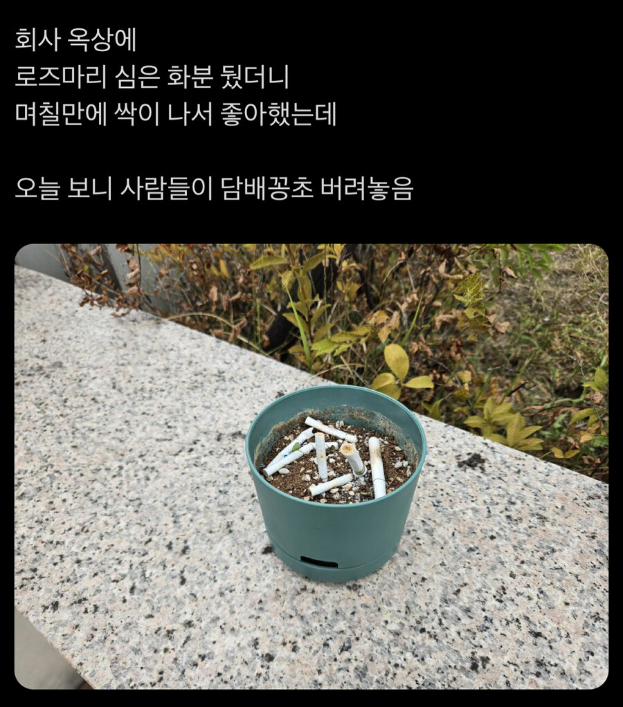 우리나라 담배 충 종특_1.jpg
