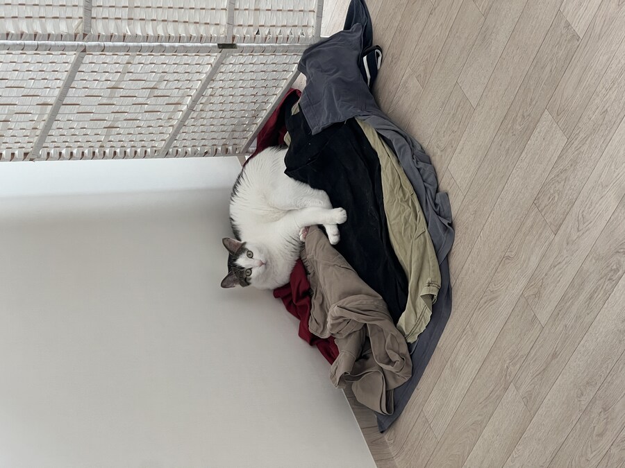 안입는 옷 버릴려고 꺼내놨는데 못버리겠다_2.jpg