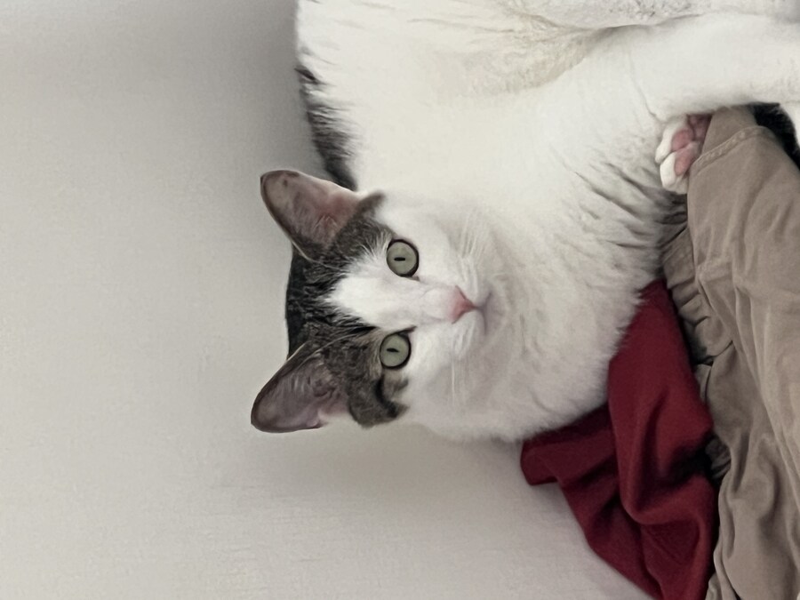 안입는 옷 버릴려고 꺼내놨는데 못버리겠다_3.jpg