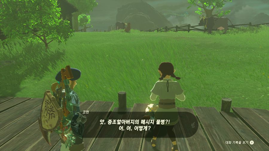 젤다의 전설 티어즈 오브 더 킹덤_8.png