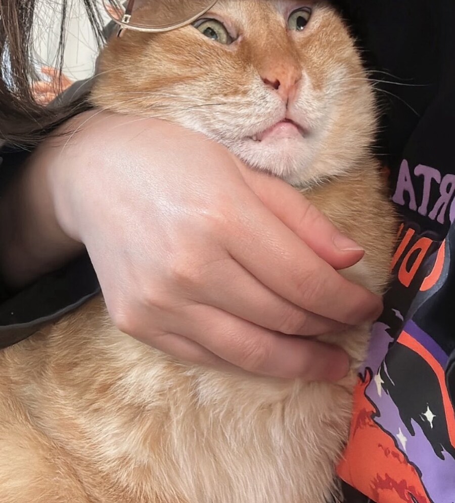 응읏?! 무엇하는! 당장그만두어!_1.jpg