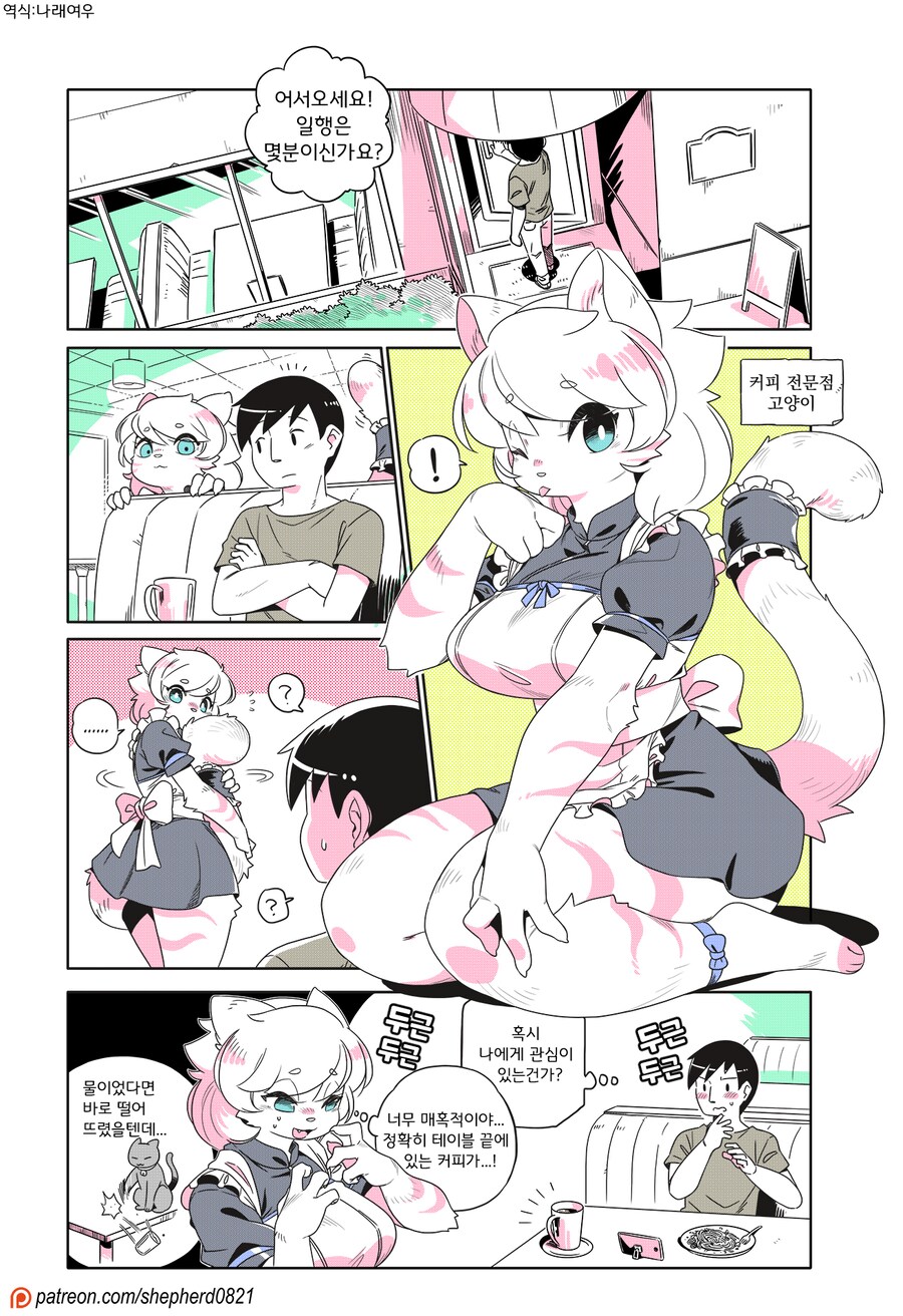 카페 고양이 만화_3.png