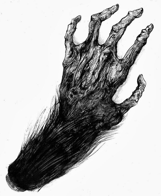 08년도에 ㅇㅇㄱ 보고 많은 사람들이 이 사람을 알았으면 하는 생각을 한적이 있따_1.png