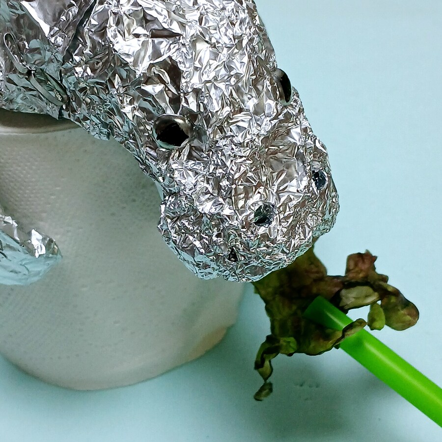 만들기) 상추를 먹는 바다소(매너티)_2.jpg