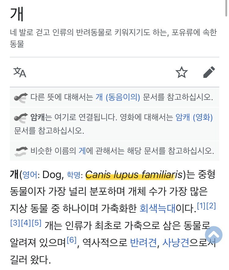 개는 유전적으로 회색늑대와 같다고 한다_2.jpg