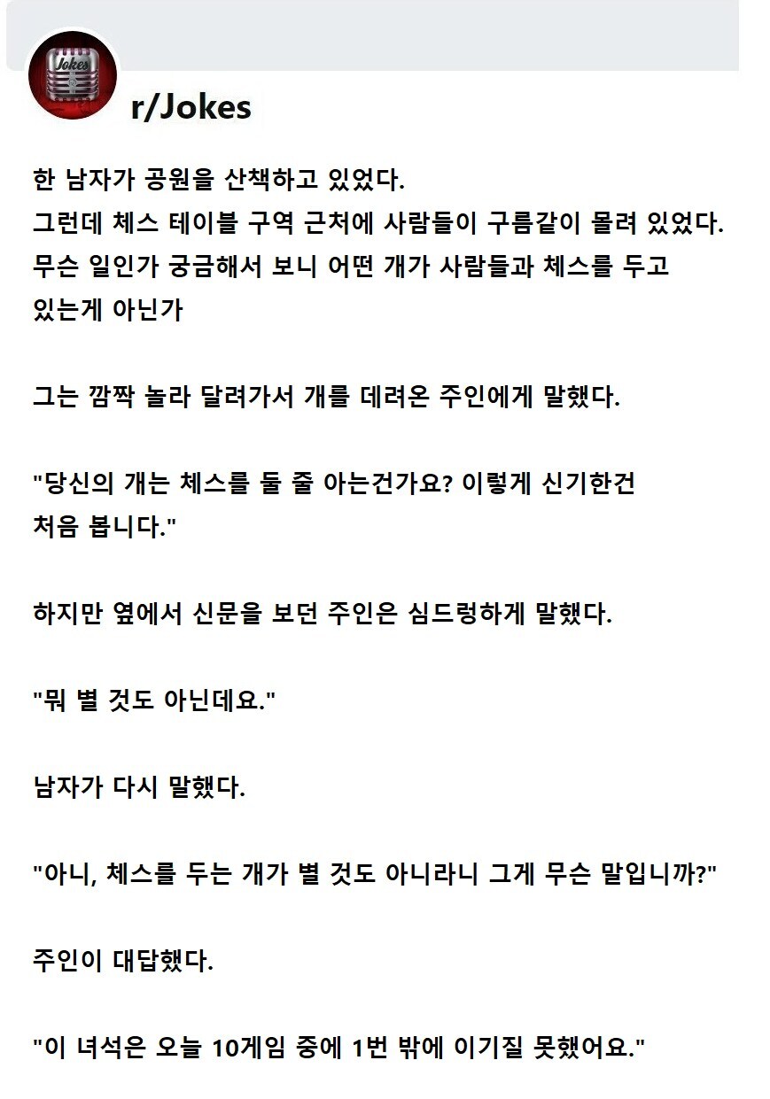체스를 두는 개_1.jpg